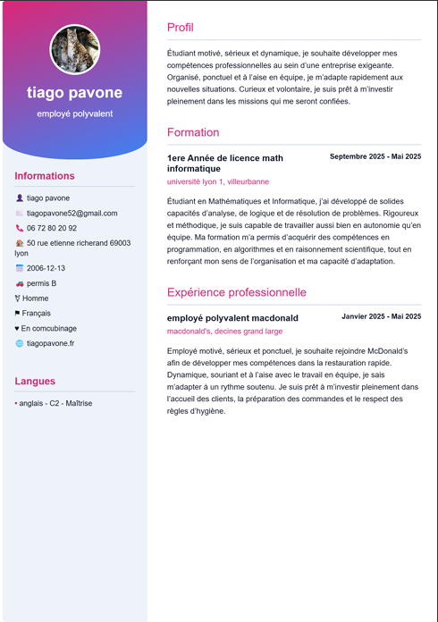 Modèle de CV professionnel