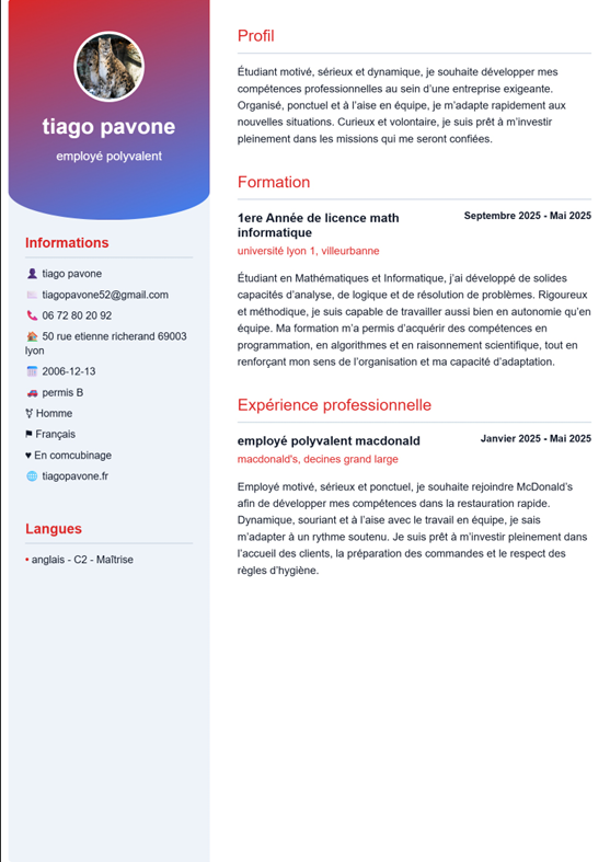 Modèle de curriculum vitae moderne